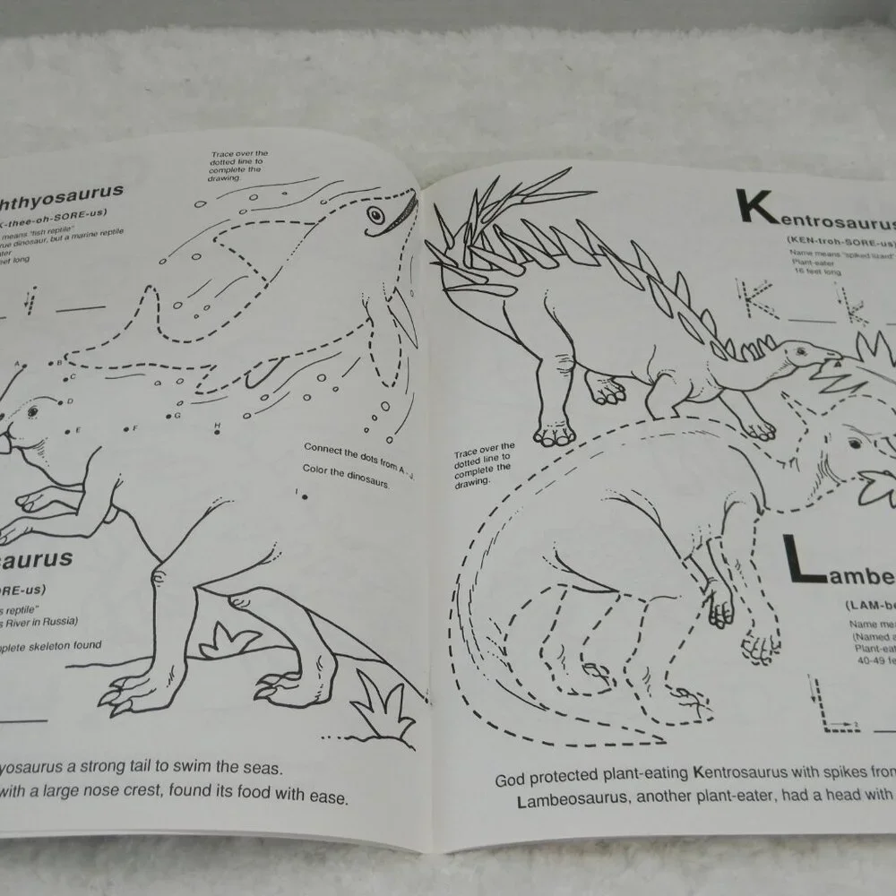 Dinosaur Creation Knowledge Books Set of 3 Books Homeschool Biblical Activity